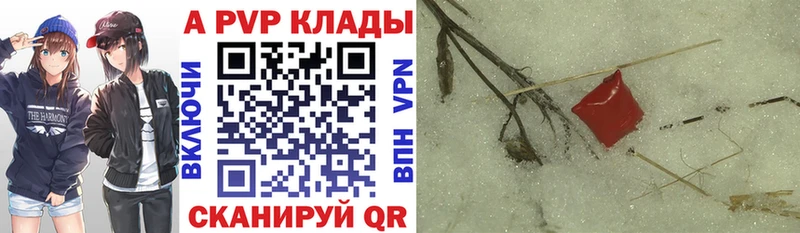 A PVP СК Мончегорск