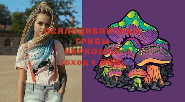 мдпв Володарск