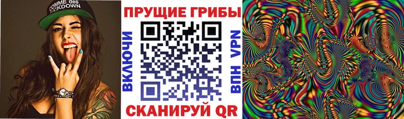Псилоцибиновые грибы GOLDEN TEACHER  Мончегорск 